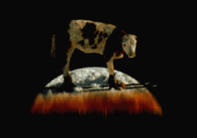moo moo moo moo moo moo moo moo moo moo moo moo moo moo moo moo moo moo moo moo moo moo moo moo moo moo moo moo moo moo moo moo moo moo moo moo moo moo moo 